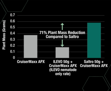 Bar chart comparing soybean plant mass under Soybean Cyst Nematode pressure, showing ILEVO plus CruiserMaxx APX had a 71% plant mass reduction compared with Saltro plus CruiserMaxx APX.